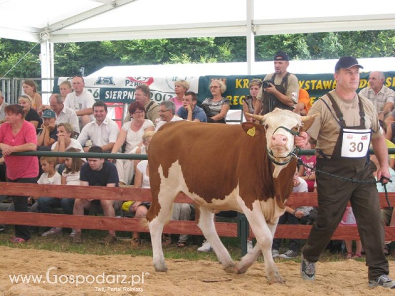 Krajowa Wystawa Ras Rodzimych Rudawka Rymanowska 2012