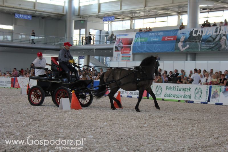XXV Krajowa Wystawa Zwierząt Hodowlanych Niedziela