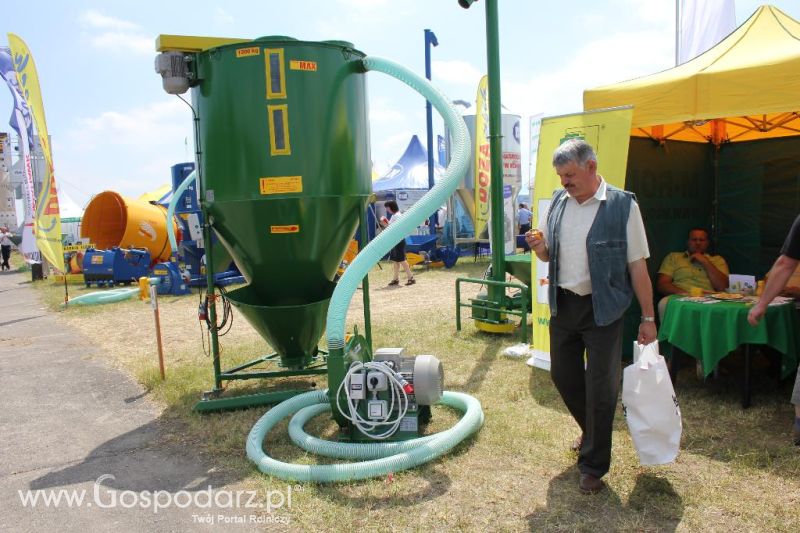 M-Rol na Opolagrze 2013