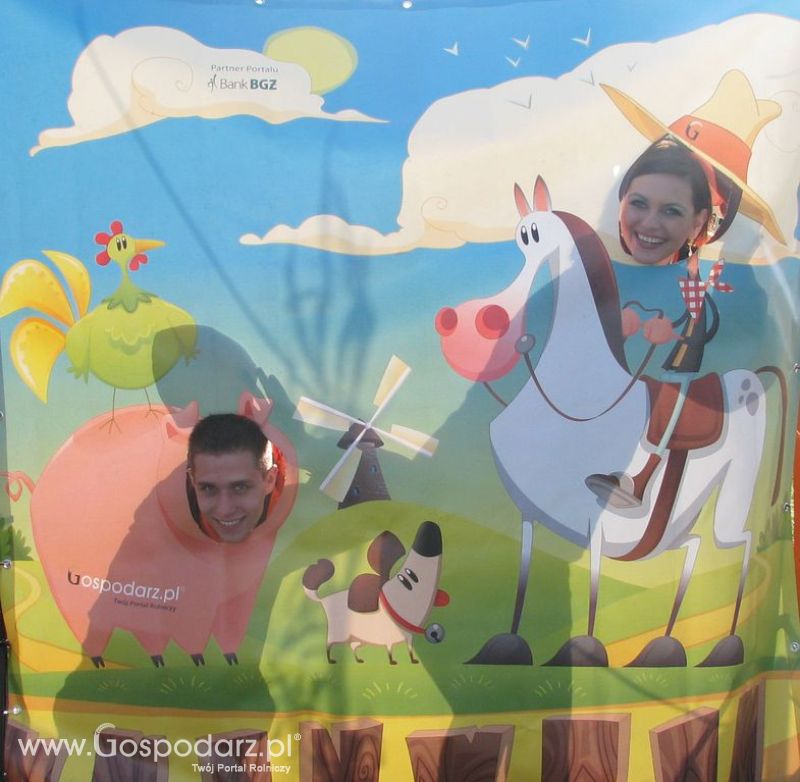 Zdjęcia ze świnką na Agro Show 2012 niedziela