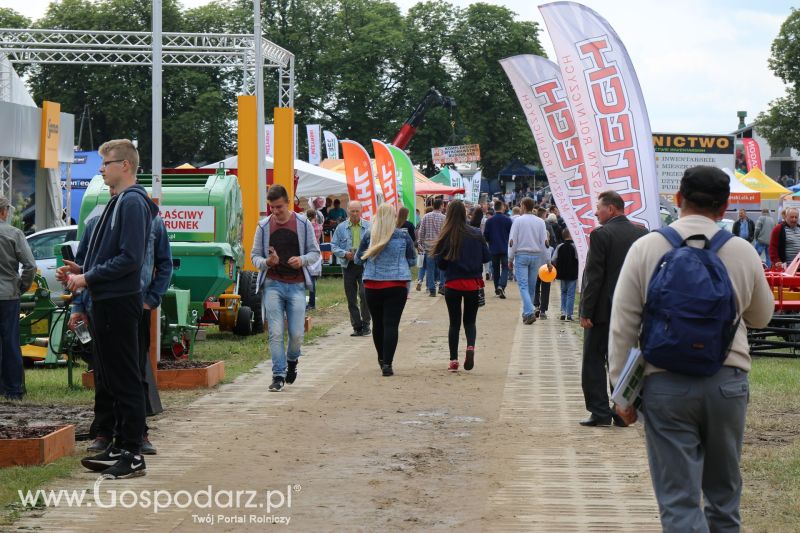 Regionalna Wystawa Zwierząt Hodowlanych i Dni z Doradztwem Rolniczym w Szepietowie 2017