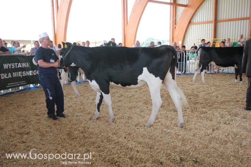 AGRO-TECH Minikowo 2014 - sobota