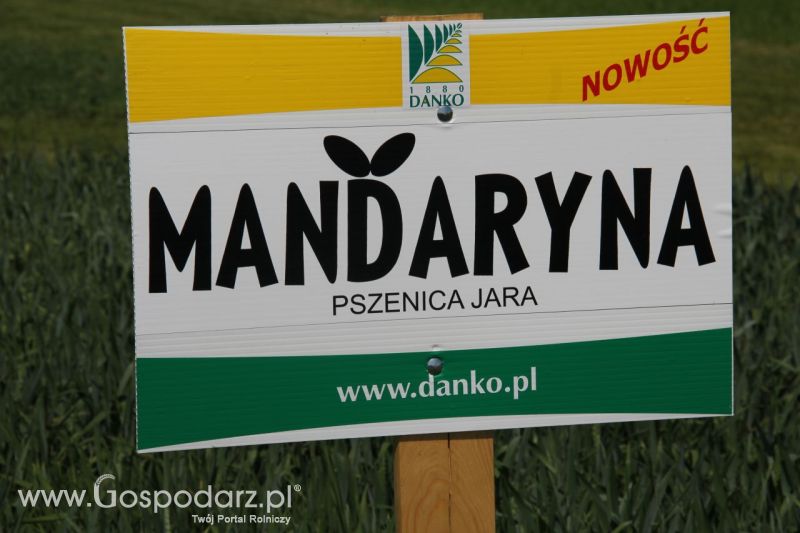 Zielone AGRO SHOW – POLSKIE ZBOŻA 2014 w Sielinku - niedziela