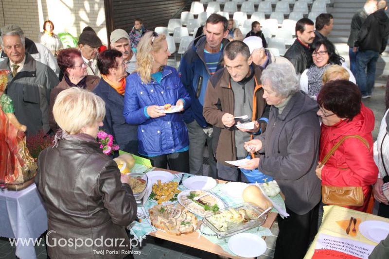 Święto Indyka w Ostródzie