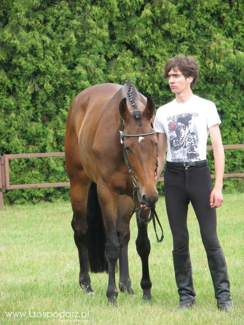 Wystawa Koni Sielinko 2011