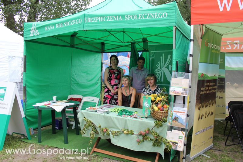 Ogólnopolski Festiwal Wieprzowiny w Łasinie