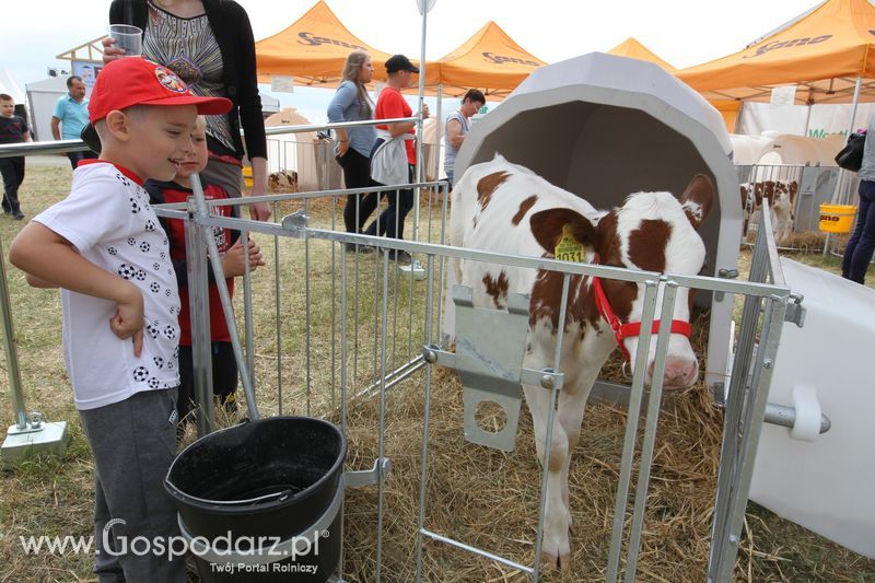 Sobota na Opolagrze 2016 razem z Gospodarz.pl