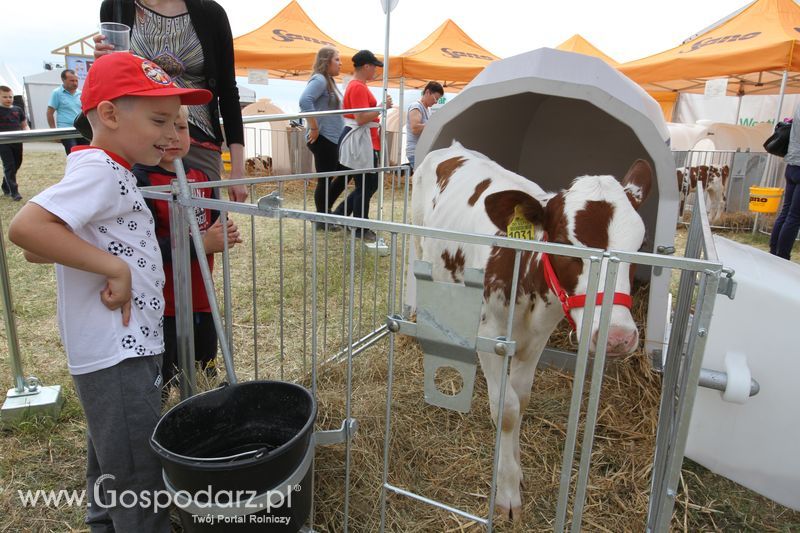 Sobota na Opolagrze 2016 razem z Gospodarz.pl