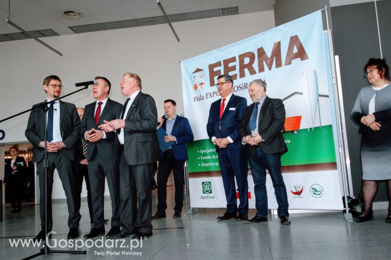 Ferma 2019 dzień 1