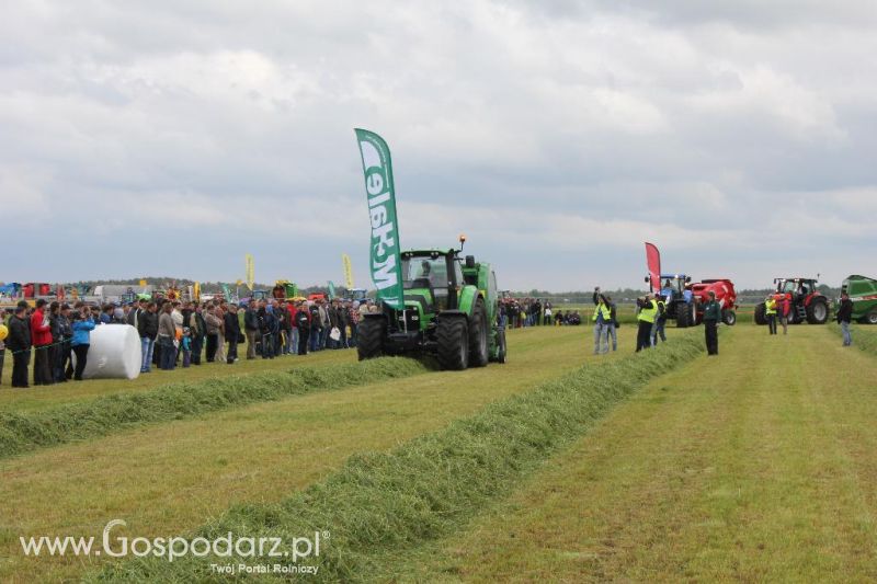 Pokazy maszyn Polskie Zboża Zielone Agro Show 2013
