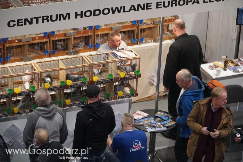 XXXVI Olimpiada Gołębi i Targi Gołębi Pocztowych i Akcesoriów - dzień drugi!