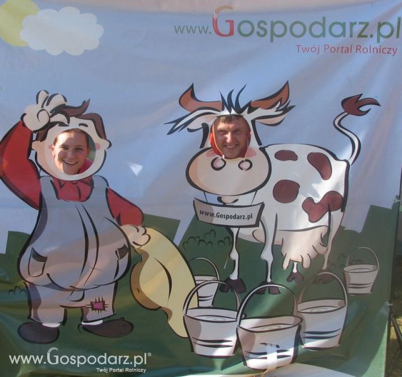 Agro Show 2011 Bednary Zdjęcie z krówką Niedziela