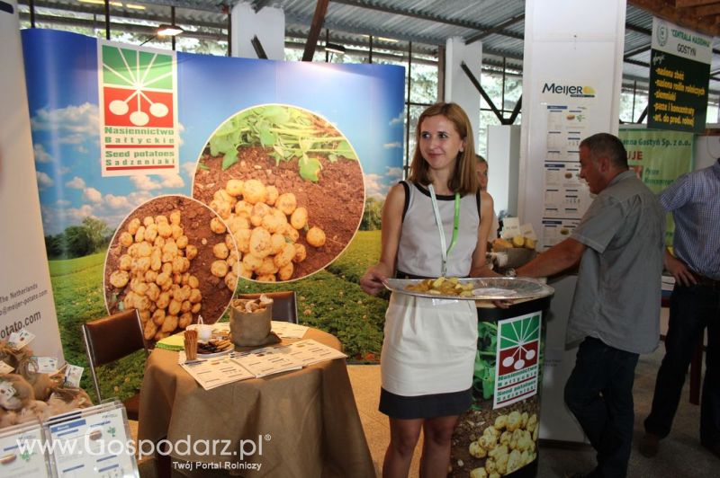 XIX Krajowe Dni Ziemniaka w Marszewie