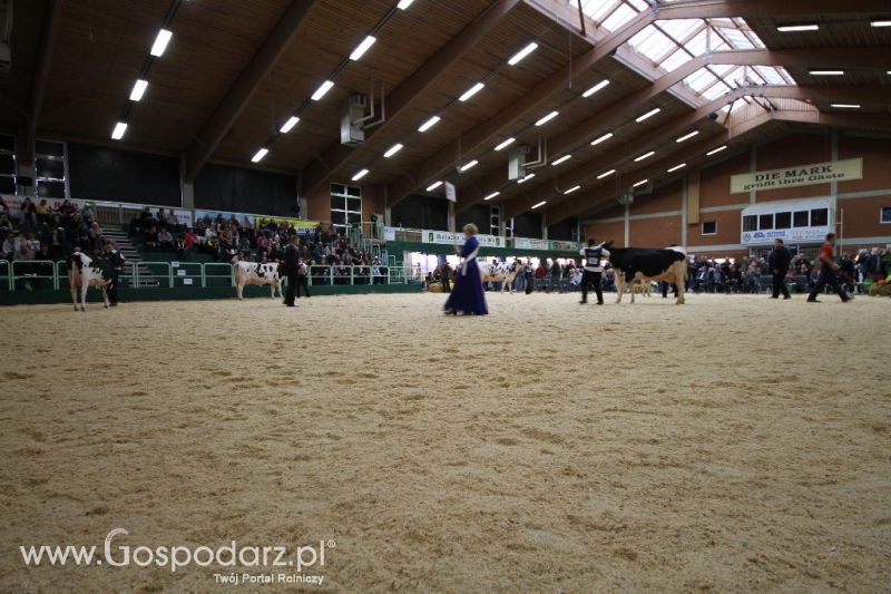 Wystawa  Blickpunkt Rind 2013 w miejscowości Paaren/Glien (Niemcy)