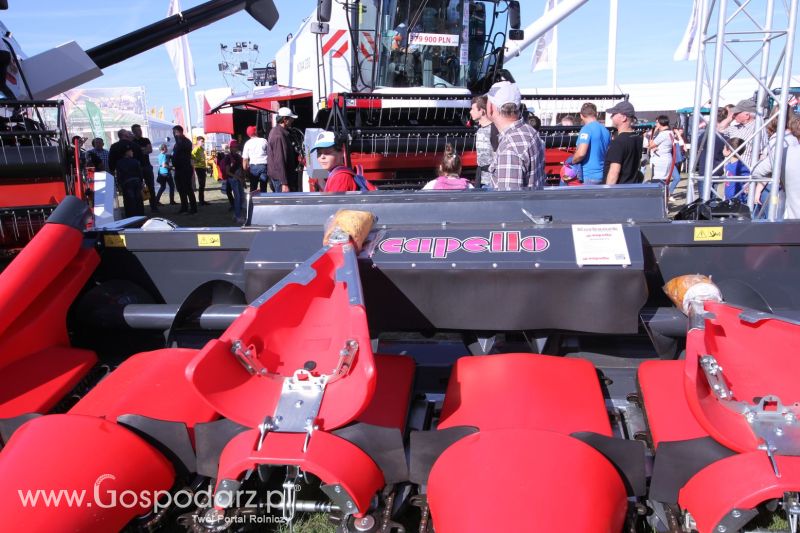 Agro Show 2019 dzień 4