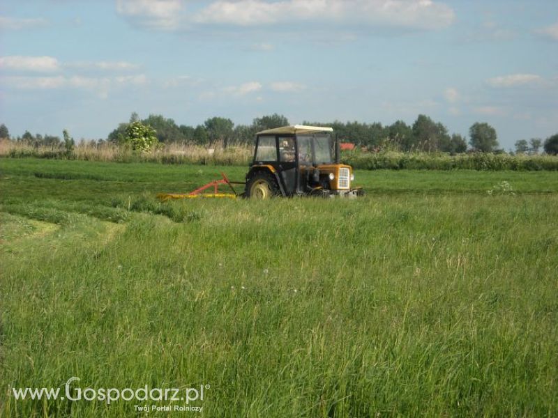 pierwsze sianokosy w roli głownej ursus c330M...