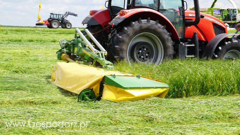 ZIELONE AGRO SHOW 2017 w Ułężu