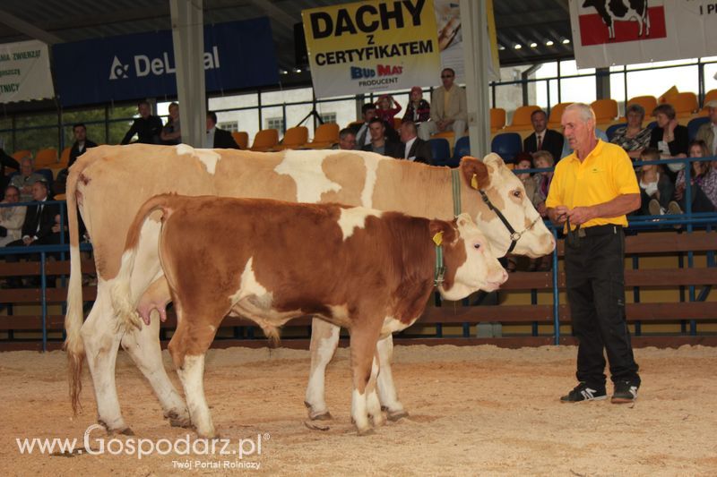 XVIII Regionalna Wystawa Zwierząt Hodowlanych i Dni z Doradztwem Rolniczym w Szepietowie - Sobota