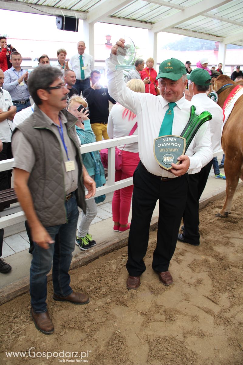 I Krajowa Wystawa Bydła Mięsnego w Sielinku - niedziela