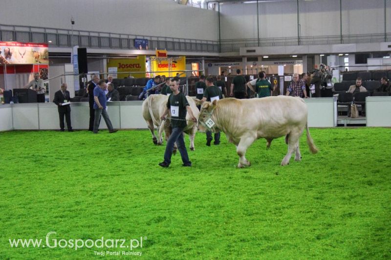 XXVI Krajowa Wystawa Zwierząt Hodowlanych - piątek
