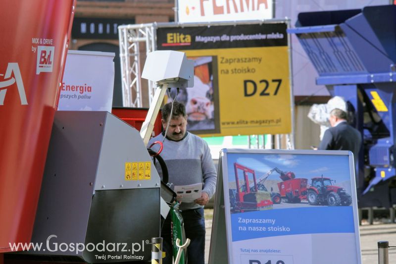 Ferma 2019 dzień 2