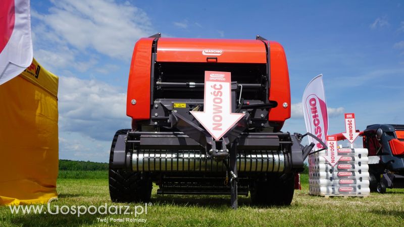 ZIELONE AGRO SHOW 2017 w Ułężu (niedziela, 28 maja)