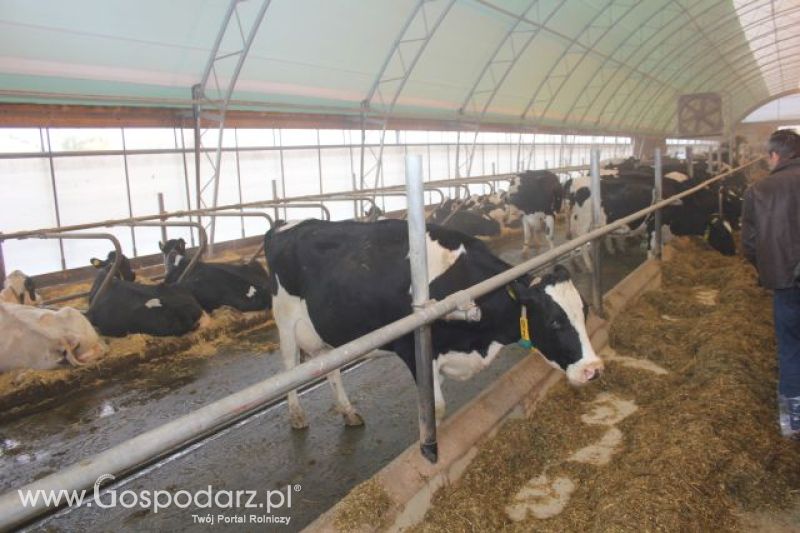 Wyjazd studyjny na farmę w Hohenhameln (Niemcy)