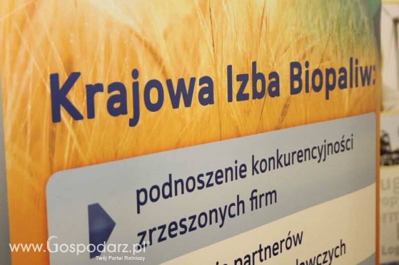 Biopaliwa transportowe. Szanse, zagrożenia, wyzwania.