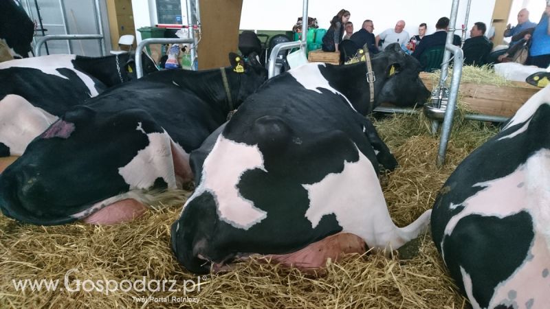 Narodowa Wystawa Zwierząt Hodowlanych 2019