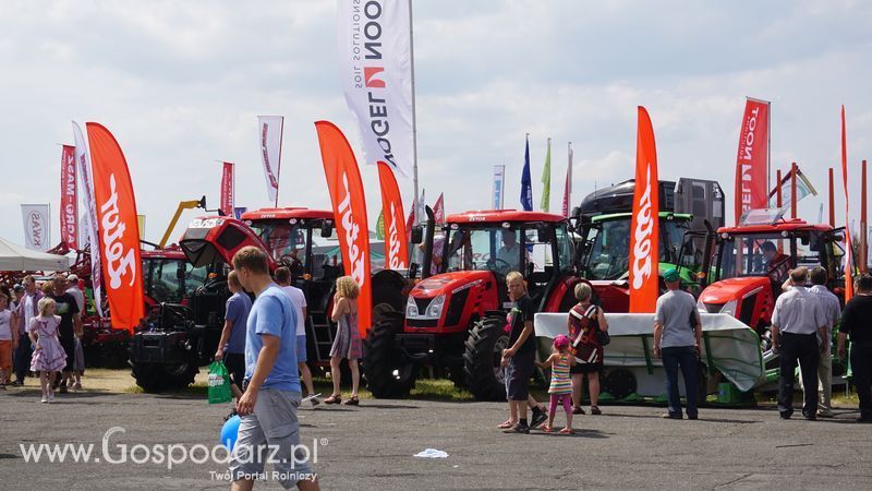 OPOLAGRA 2015 w Kamieniu Śląskim