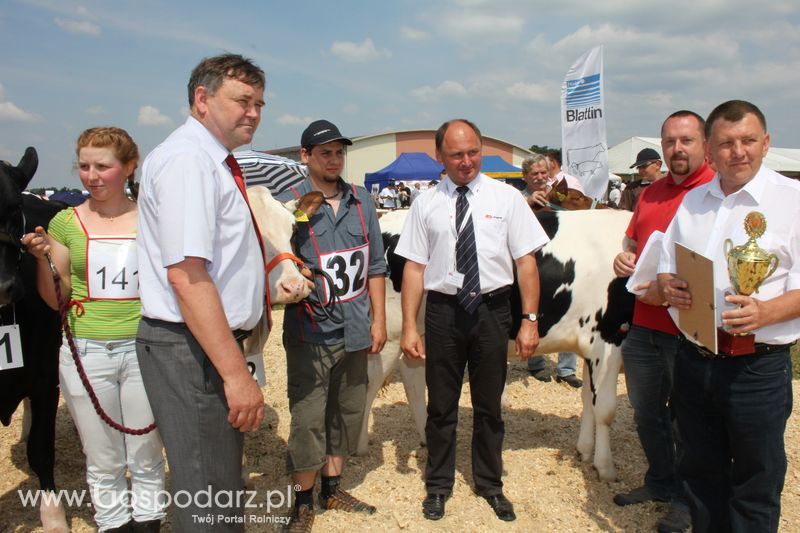 Superchampioni i championi Śląskiej Wystawy Bydła Mlecznego Opolagra 2011
