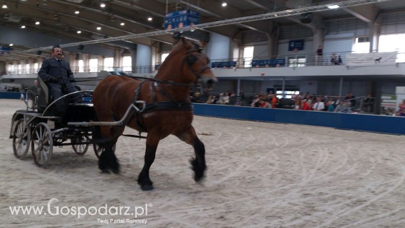 KWZH 2015. Bliskie spotkania ze zwierzętami hodowlanymi