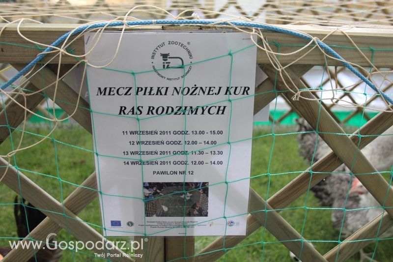 KWZH, Polagra Food poniedziałek-wtorek
