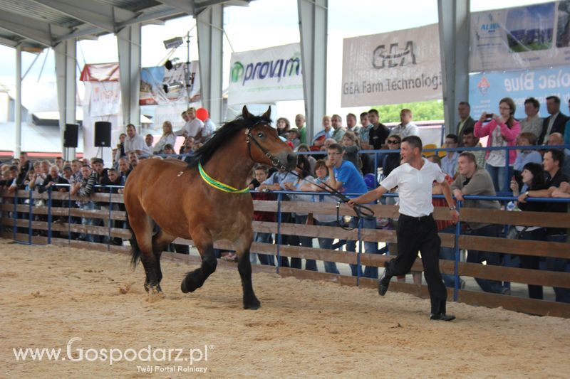 Wręczenie nagród na XVIII Regionalnej Wystawie Zwierząt Hodowlanych w Szepietowie