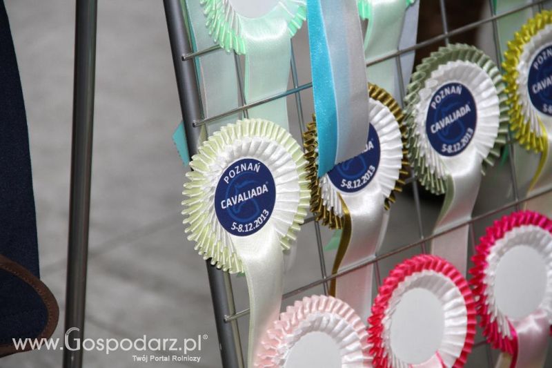 CAVALIADA 2013 w Poznaniu