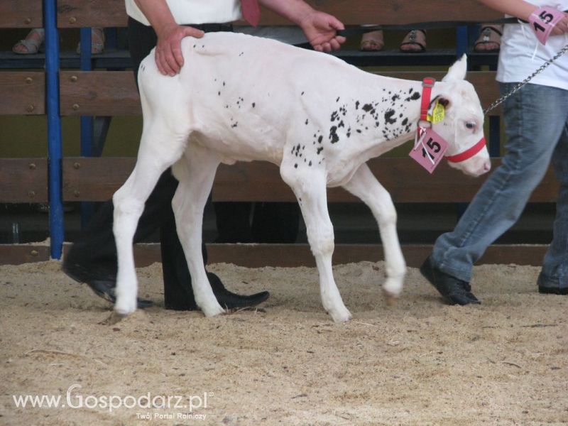 Młody Hodowca - Szepietowo 2012 XIX Regionalna Wystawa Zwierząt Hodowlanych