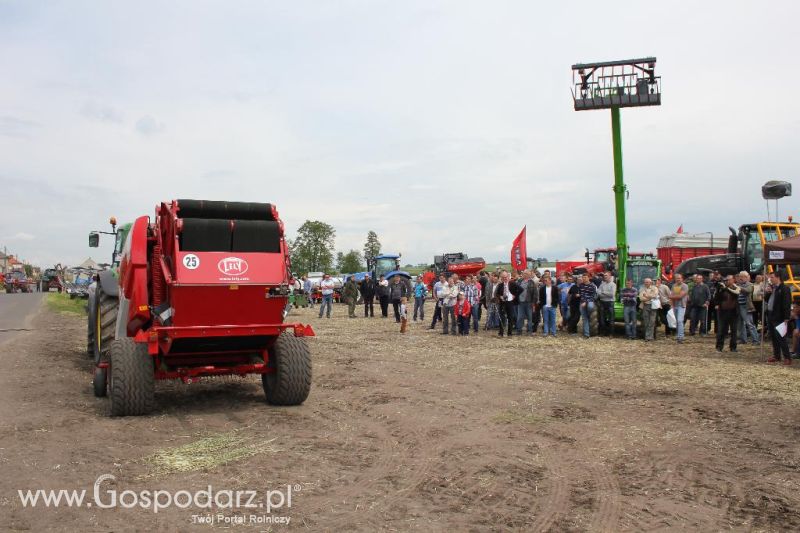 Pokazy polowe Romanów k/Krotoszyna