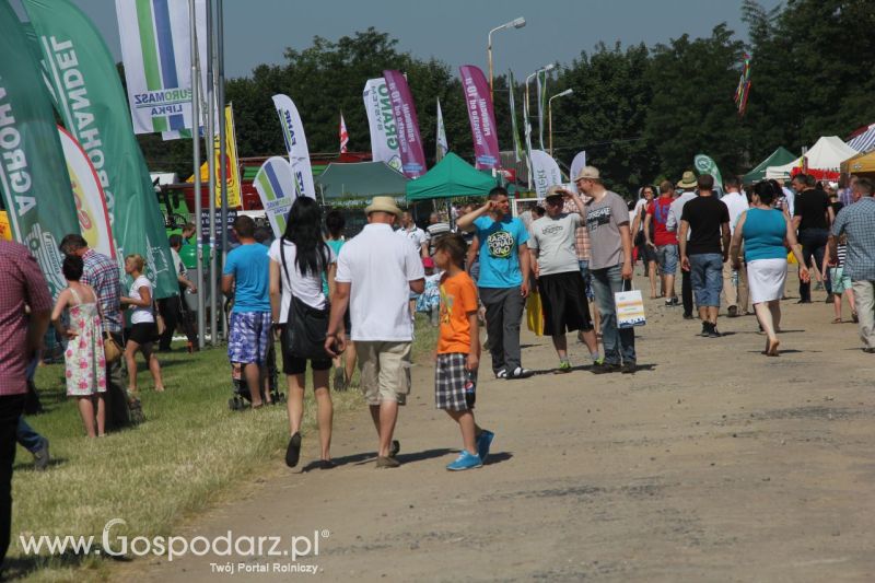 Zielone AGRO SHOW – POLSKIE ZBOŻA 2014 w Sielinku - niedziela