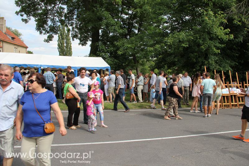IV Ogólnopolski Festiwal Wieprzowiny - Koźmin Wlkp 2016
