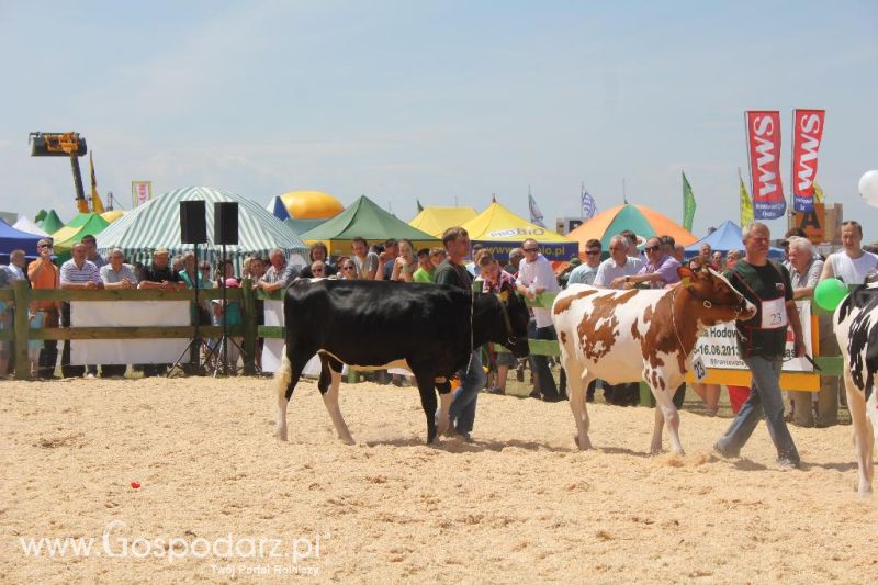 Opolagra 2013 cz.2