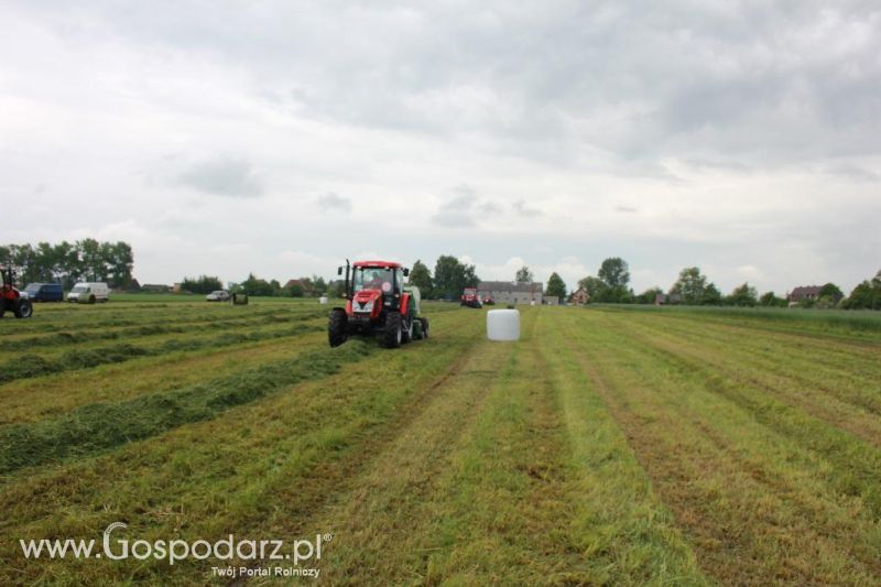 Pokaz maszyn zielonkowych w Pierzyskach k/Gniezna