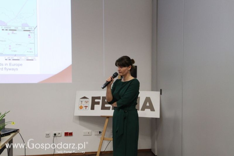 FERMA 2020 dzień 1