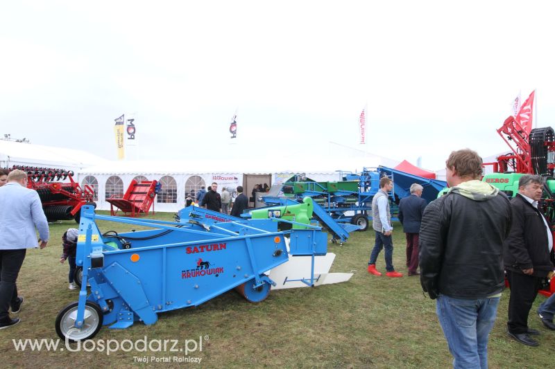 Krukowiak na AGRO SHOW BEDNARY 2017