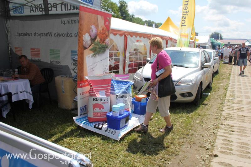 Regionalna Wystawa Zwierząt Hodowlanych i Dni z Doradztwem Rolniczym w Szepietowie-sobota