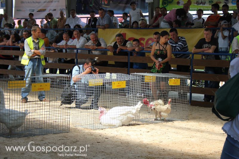Nagrody - Szepietowo 2012 XIX Regionalna Wystawa Zwierząt Hodowlanych