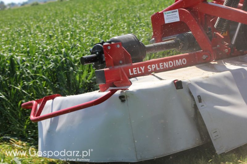 Zielone AGRO SHOW – POLSKIE ZBOŻA 2014 w Sielinku - niedziela