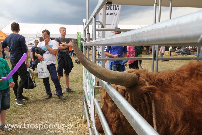 Sobota na Opolagrze 2016 razem z Gospodarz.pl