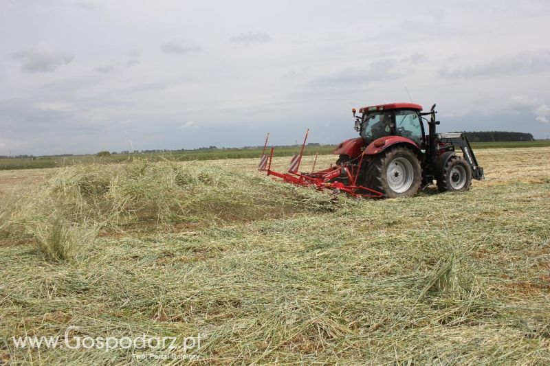 Pokazy polowe Romanów k/Krotoszyna