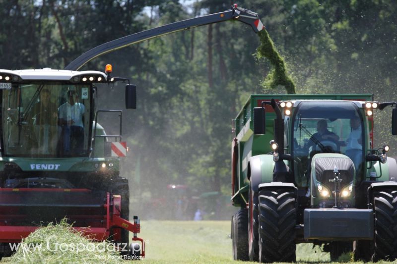 Zielone AGRO SHOW – POLSKIE ZBOŻA 2014 w Sielinku - sobota