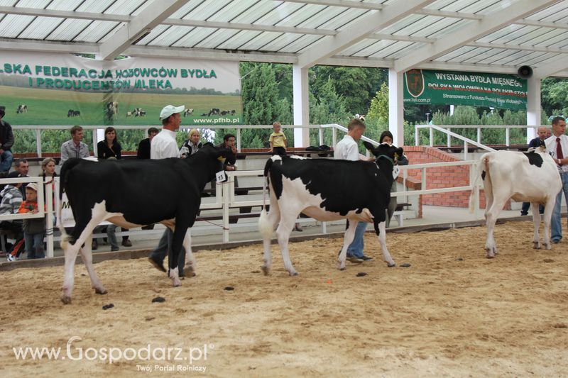 Wystawa bydła Sielinko 2011